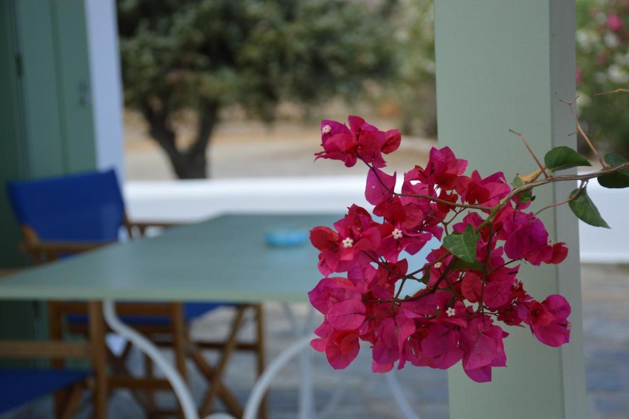 הוילה Provatas Maximos House מראה חיצוני תמונה